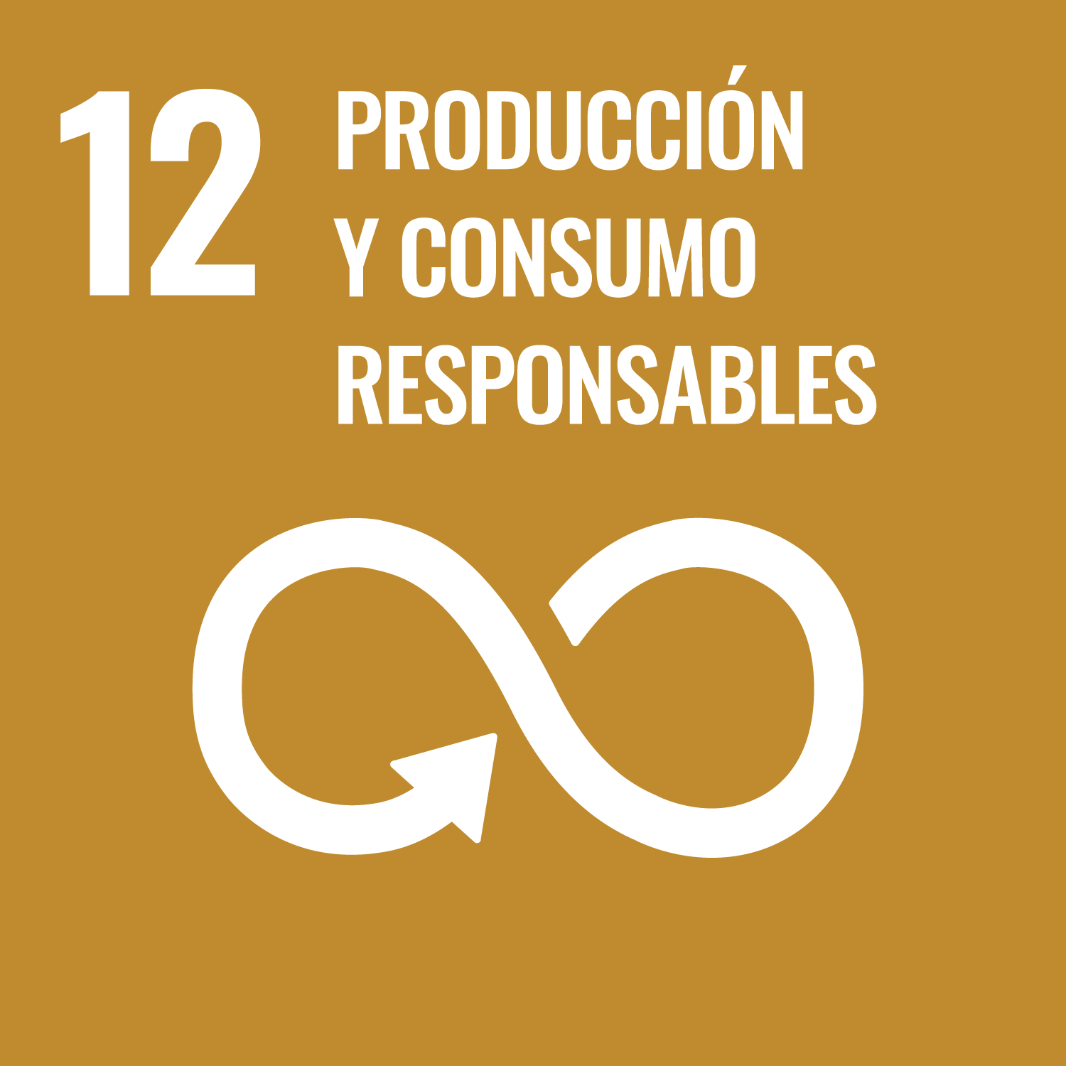 12. Garantizar modalidades de consumo y producción sostenibles.